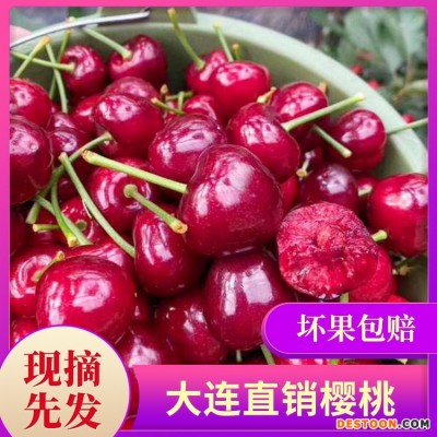 现摘现发大连大樱桃 美早红灯车厘子 3斤/箱应季时令新鲜水果