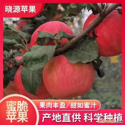 蜜脆苹果新鲜苹果水果脆甜整箱当季包邮10斤装现摘现发孕妇水果