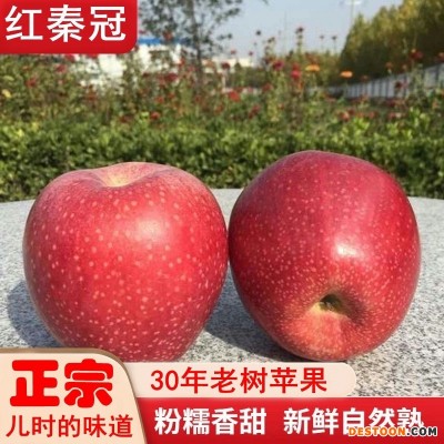 正宗陕西秦冠苹果粉面沙甜老树红香蕉丑苹果应季水果整箱非冰糖心