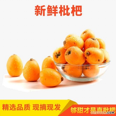 攀枝花米易枇杷早熟新鲜早钟枇杷3斤5斤包邮直发一件代发
