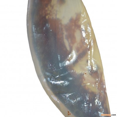 渤海绵蜇皮红海蜇皮海蜇青皮鲜脆爽口盐渍海蜇非即食批发净重5斤