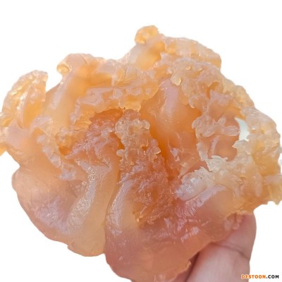 红色印尼海蜇头非即食海蜇凉拌菜桶装盐渍海蜇头整桶批发净重5斤