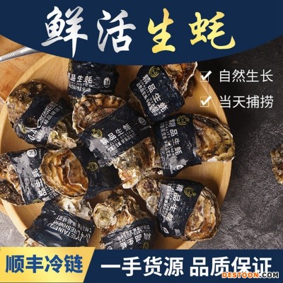 福建霞浦鲜活生蚝 鲜活25公斤带壳牡蛎 海鲜水产海蛎顺丰现装直发