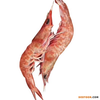 野生樱花虾刺身甜虾鲜活冷冻特大鸡冠虾斑节虾新鲜海虾海鲜水产品