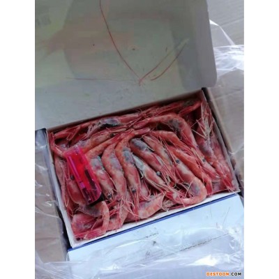 俄罗斯超低温甜虾，寿司虾，刺身日本料理