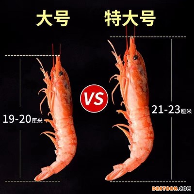阿根廷红虾 大L1红虾2kg 焗虾鲜活大虾船冻海鲜4斤大红虾可刺身商