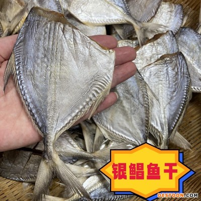 银鲳鱼干 白鲳鱼干 渔民淡晒海鱼干餐厅酒店食材批发海鲜干货批发