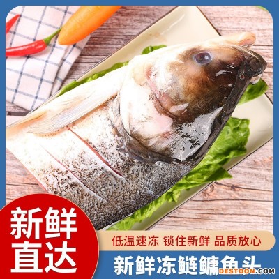厂家批发新鲜大鲢鱼头白鲢鱼胖头鱼鱼头鲢花鳙鱼大头鱼剁椒鱼头