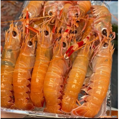 Ⅹ【食材供应】深海螯虾刺身龙虾日料虾餐饮批发零售非新西兰螯虾