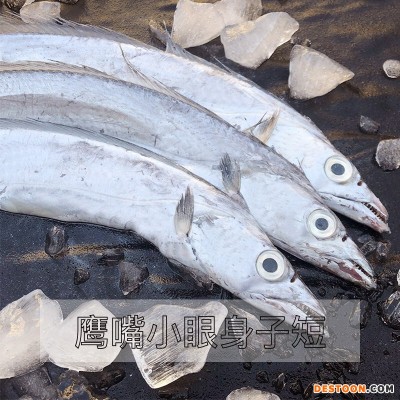 舟山捕捞带鱼10斤装新鲜冷冻带鱼批发水产品刀鱼整条宽带鱼礼盒装