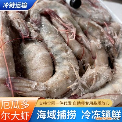 厄瓜多尔白虾冰冻大虾大基围盐冻大虾海捕大对虾青虾速冻深海虾
