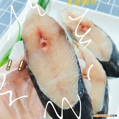 马鲛鱼扒 新鲜海捕鲜活冷冻活冻鲅鱼大中小冰鲜马鲛鱼海鲜水产