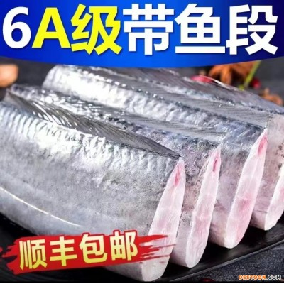 新鲜带鱼段中段鲜活冷冻小眼油带鱼刀鱼整箱海鲜水产鲜活顺丰