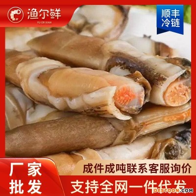 新鲜大个蛏王肉冷冻竹节蛏子现剥海捕蛏王肉贝类海鲜餐饮批发跨境