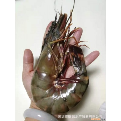 新鲜活虾