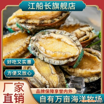 江船长有机保鲜冷冻鲍鱼10粒装230g去脏连江海鲜佛跳墙工厂家直销