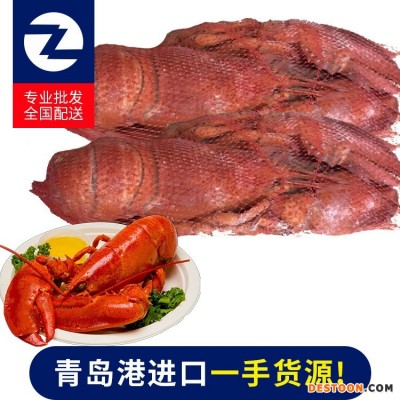 现货供应保税区冷冻海鲜波士顿龙虾 进口冷冻龙虾 支持定制
