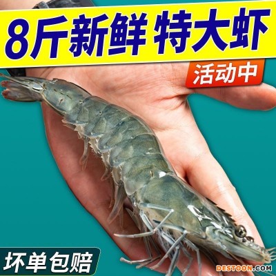 青岛大虾整箱海鲜鲜活速冻超特大冷冻基围虾鲜虾海虾对虾青虾