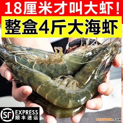 顺丰包邮大虾鲜活超大青岛大青虾冷冻鲜对虾速冻海虾虾类海鲜水产