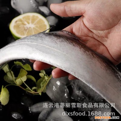 整条鲜冻带鱼小眼睛带鱼特级大海鲜整条东海野刀鱼冷冻厂家水产批