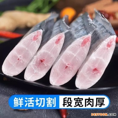 新鲜大段舟山东海小眼带鱼段中段带鱼段大段去头去尾海鲜水产批发
