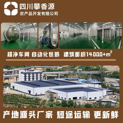 冻干水果FD冻干芒果干厂家直发雪花酥牛轧糖配料无添加儿童零食图5