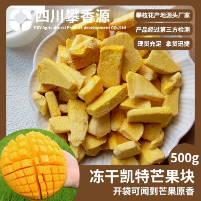 冻干水果FD冻干芒果干厂家直发雪花酥牛轧糖配料无添加儿童零食图3