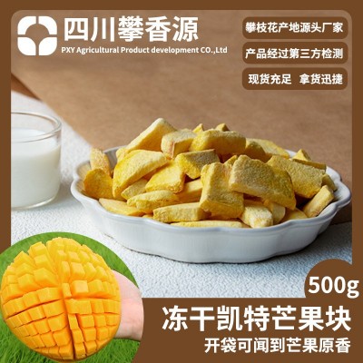 冻干水果FD冻干芒果干厂家直发雪花酥牛轧糖配料无添加儿童零食图4