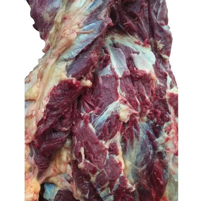 一手货源自家养殖基地马肉，鲜马肉，马肉图4
