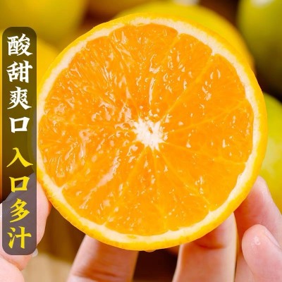 湖北秭归夏橙新鲜水果当季橙子现摘酸甜脐橙伦晚春橙孕妇水果包邮图3