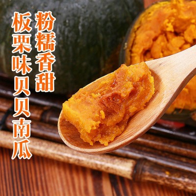 贝贝南瓜批发一件代发新鲜板栗味迷你小南瓜软糯香甜孕妇宝宝辅食图3