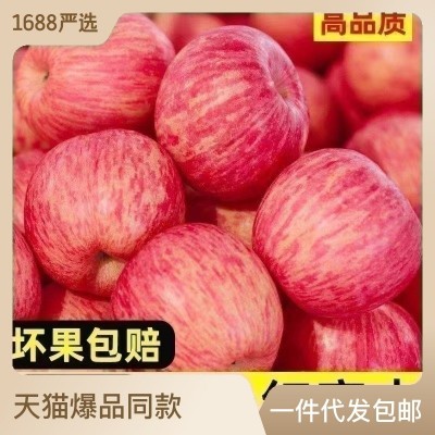 山东烟台红富士苹果新鲜水果产地批发脆甜可口正宗红富士苹果水果