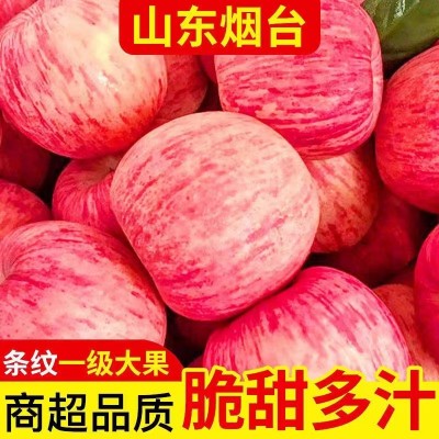 山东烟台红富士苹果新鲜水果产地批发脆甜可口正宗红富士苹果水果图5