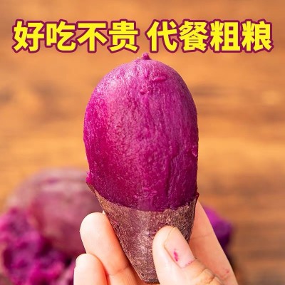 紫薯新鲜批发产地直发红薯番薯地瓜蜜薯山芋香薯代发蔬菜粗粮图3
