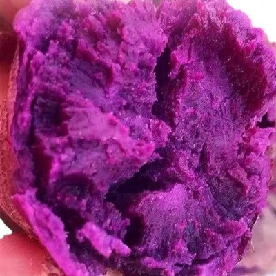紫薯新鲜批发产地直发红薯番薯地瓜蜜薯山芋香薯代发蔬菜粗粮图5