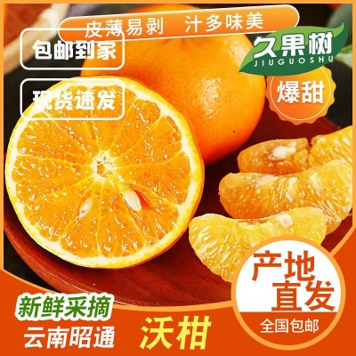 基地直供云南新平沃柑新鲜水果超甜桔子整箱非丑橘耙耙柑一件代发