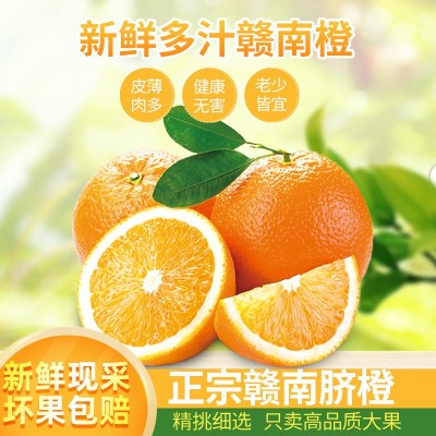 正宗赣南脐橙新鲜水果批季水果孕妇儿童手拨甜橙子当季现摘现发图2