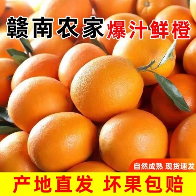 正宗赣南脐橙新鲜水果批季水果孕妇儿童手拨甜橙子当季现摘现发图4