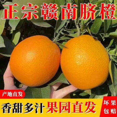 正宗赣南脐橙5斤新鲜皮薄多汁产地直发应季水果橙子孕妇水果脐橙