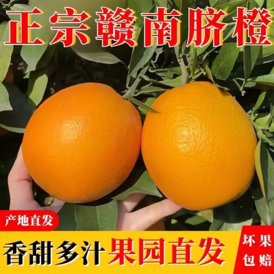 正宗赣南脐橙5斤新鲜皮薄多汁产地直发应季水果橙子孕妇水果脐橙图3