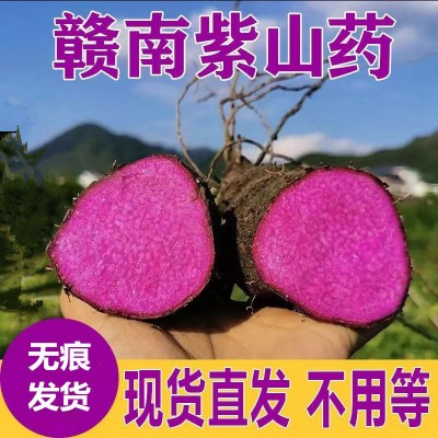 赣南紫山药铁棍怀山紫玉淮山药现挖紫大薯脚板薯农家种植新鲜蔬菜图2