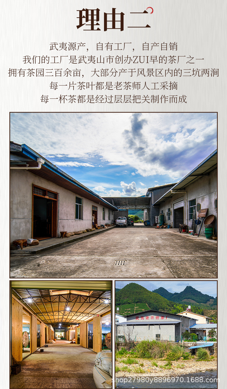 武夷老农水仙_01.jpg