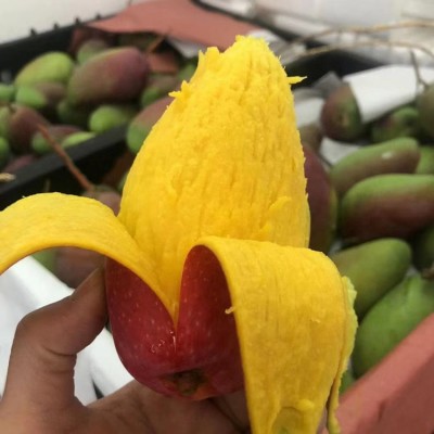 海南三亚贵妃芒果新鲜水果热带孕妇当季甜心芒核薄红金龙芒果图5