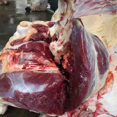 带皮驴肉 甲龙供应新鲜现杀现卖 驴鞭 口感劲道