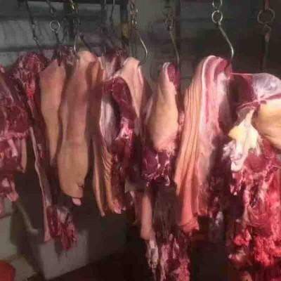 现杀新鲜带皮生驴肉 驴鞭出售 甲龙供应 农家散养