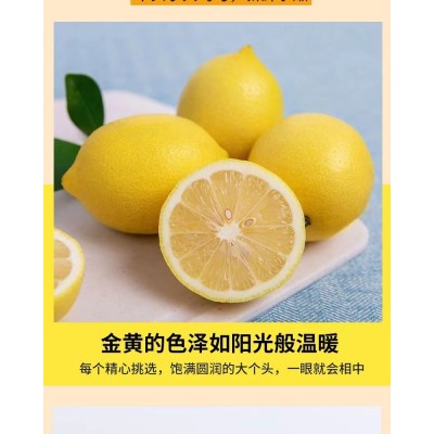 产地直供四川安岳黄柠檬新鲜整箱当季水果精选皮薄甜多汁柠檬图5