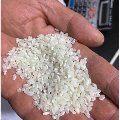 无粘性早稻米 生产米线凉皮米粉干米豆腐 早籼米货源厂家直批