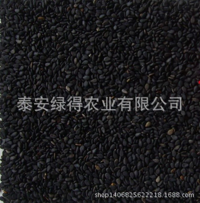 黑芝麻