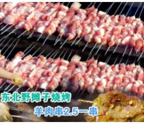 东北野摊烧烤撸串，老板守炭炉子边烤边卖，只卖10种肉串要先抢座