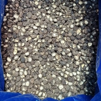 小香菇干货 批发 珍珠菇 金钱菇 冬菇 剪脚福建漳平特产500g图3